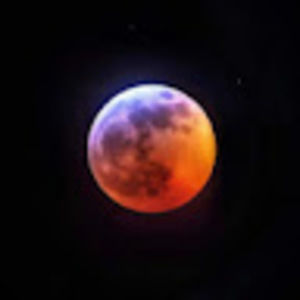 Meet your Posher, Fred k